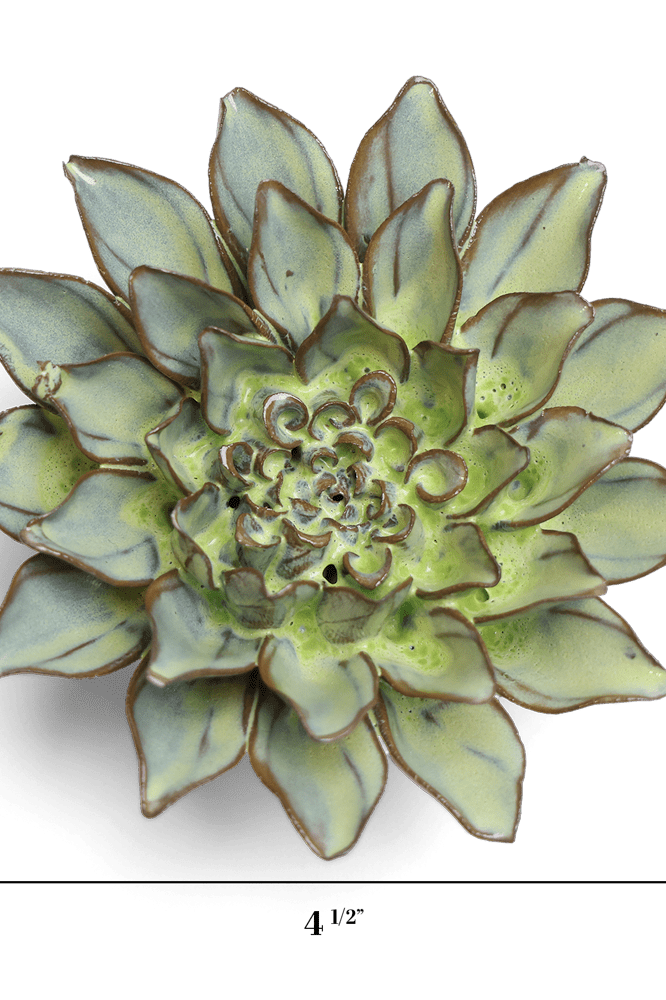 Japan Ceramic Flower Green Aster - Chive UK