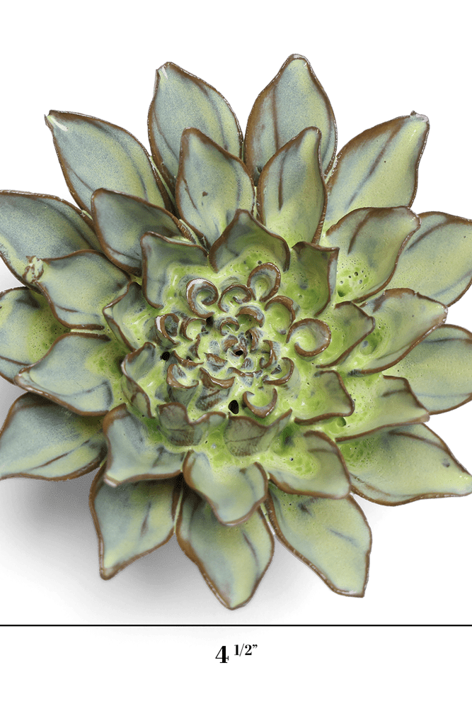 Japan Ceramic Flower Green Aster - Chive UK