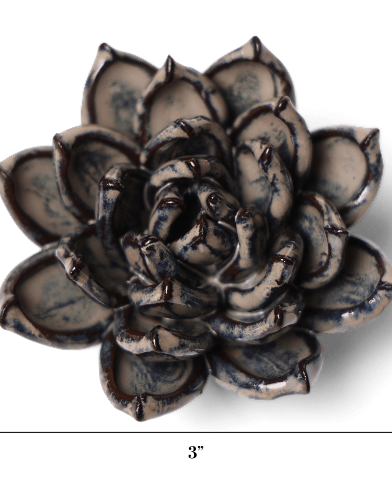 Japan Ceramic Flower Cream Succulent - Chive UK