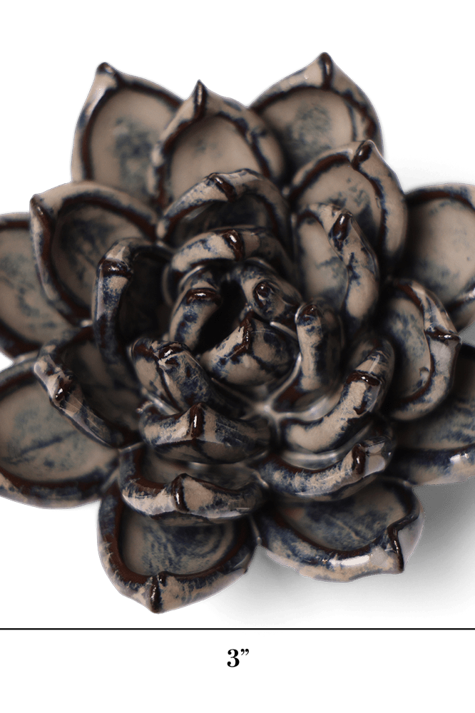 Japan Ceramic Flower Cream Succulent - Chive UK