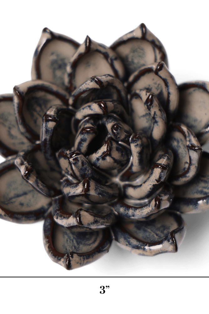 Japan Ceramic Flower Cream Succulent - Chive UK