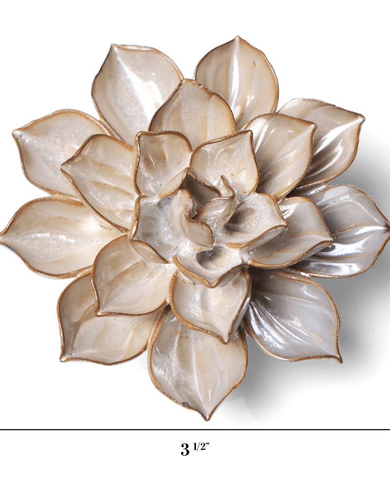 Japan Ceramic Flower Pearl Aster - Chive UK