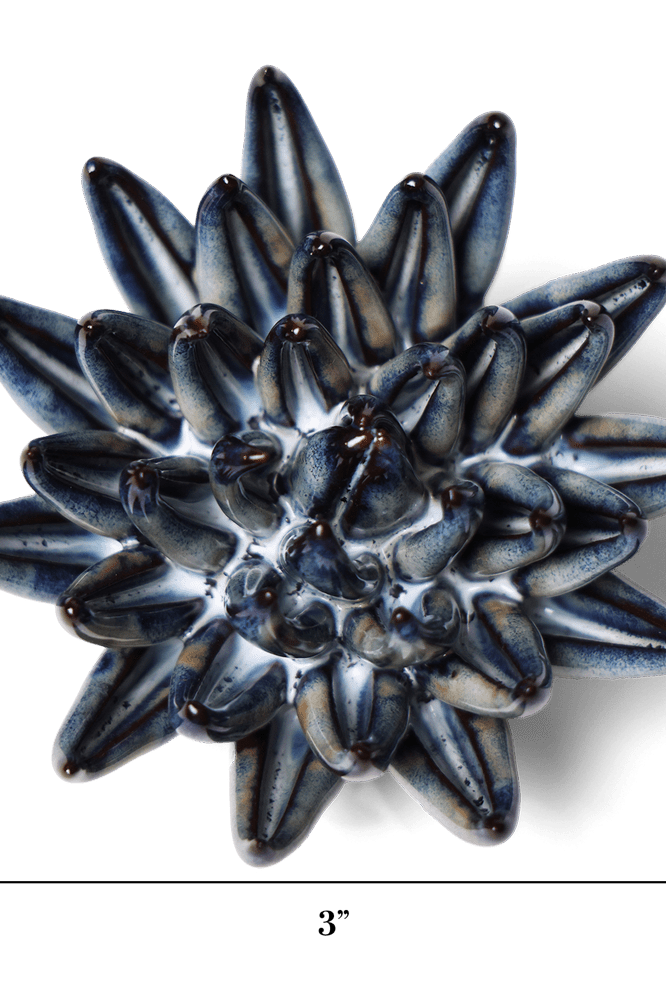 Japan Ceramic Flower Black Cactus Flower - Chive UK