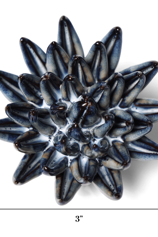 Japan Ceramic Flower Black Cactus Flower - Chive UK