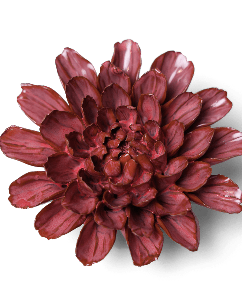 Japan Curated Collection 17 - Chive UK