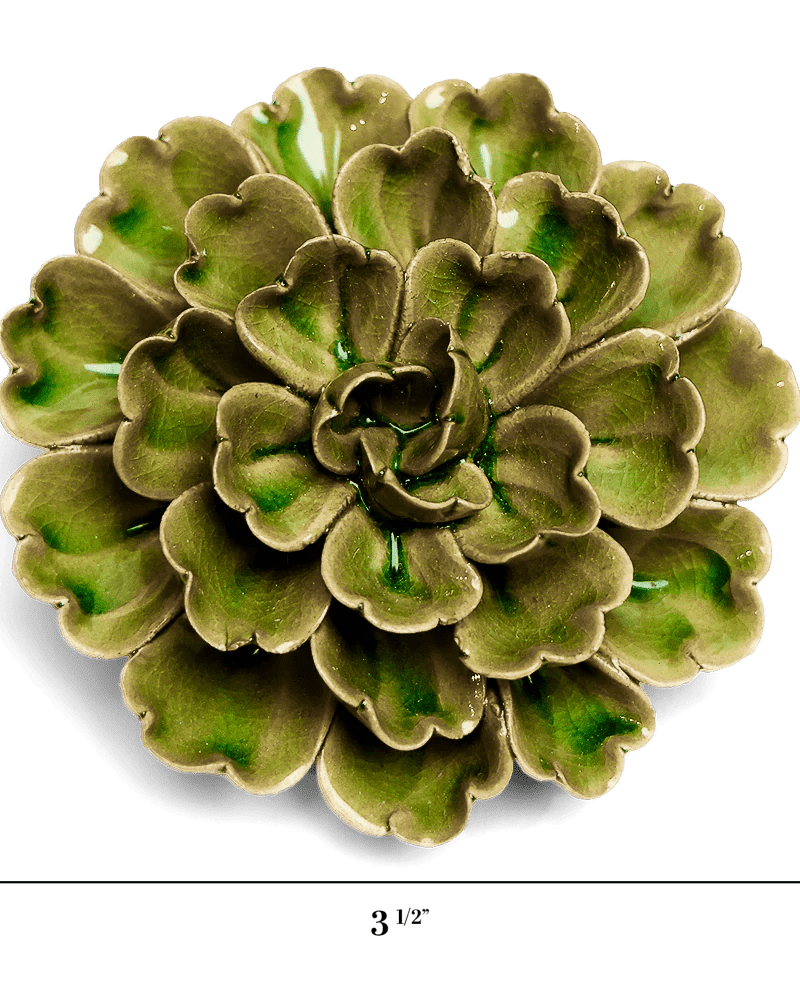 Avocado Green Petunia - Chive UK