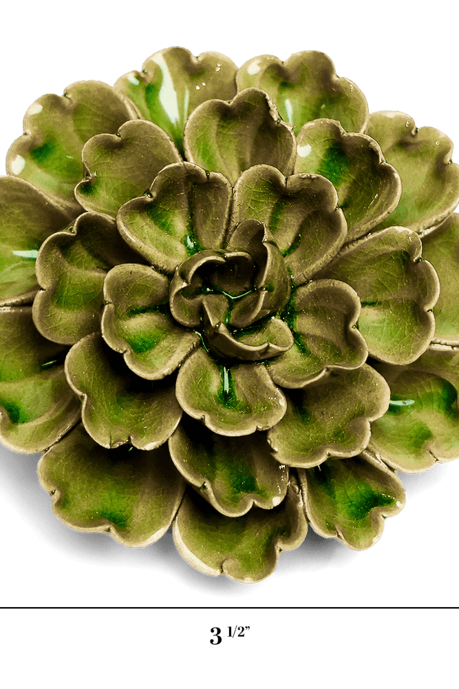 Avocado Green Petunia - Chive UK