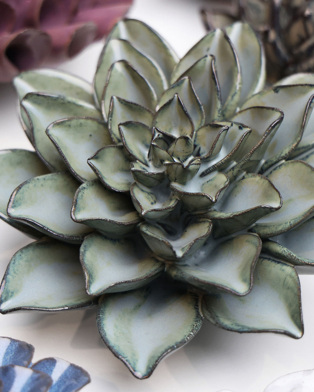 Grey Goyet Azalea - Chive UK