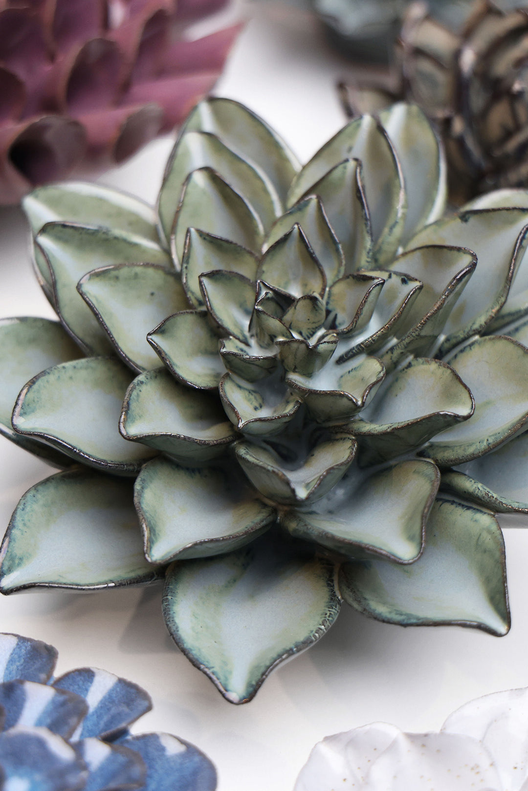 Grey Goyet Azalea - Chive UK