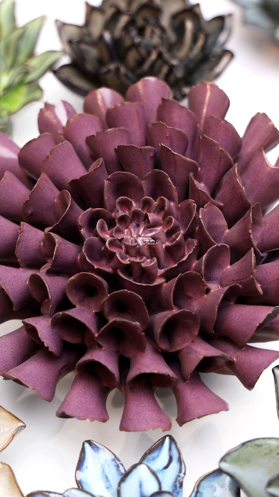 Violet Blue Cornel Dahlia - Chive UK