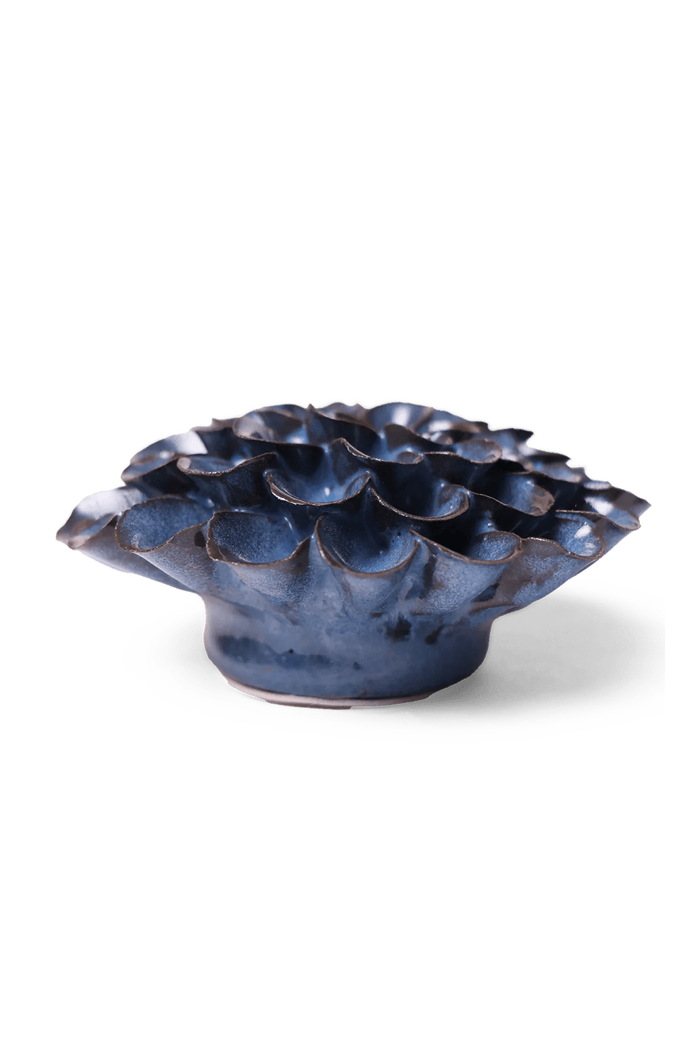 Blue Noir Pompon Dahlia - Chive UK