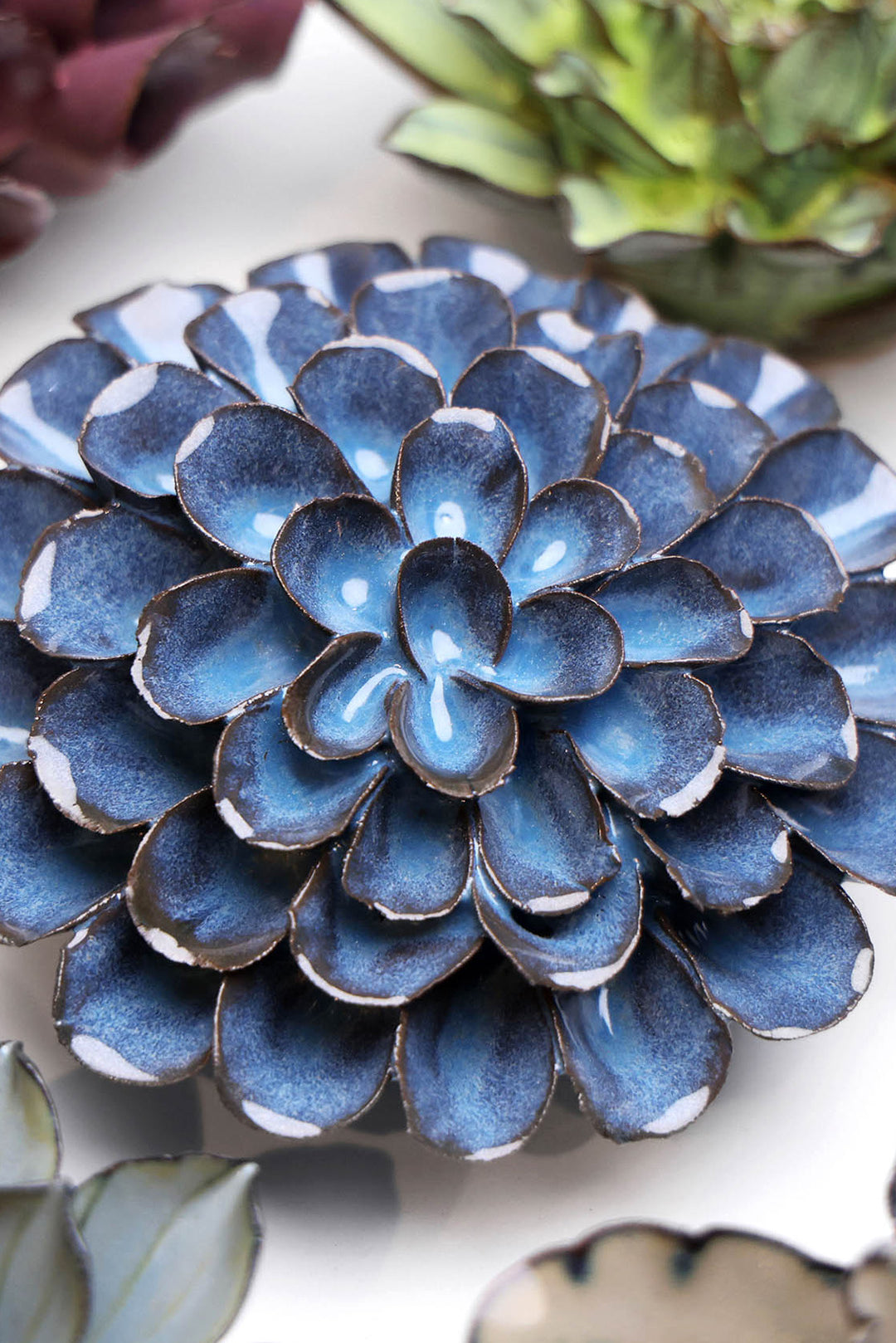 Blue Noir Pompon Dahlia - Chive UK