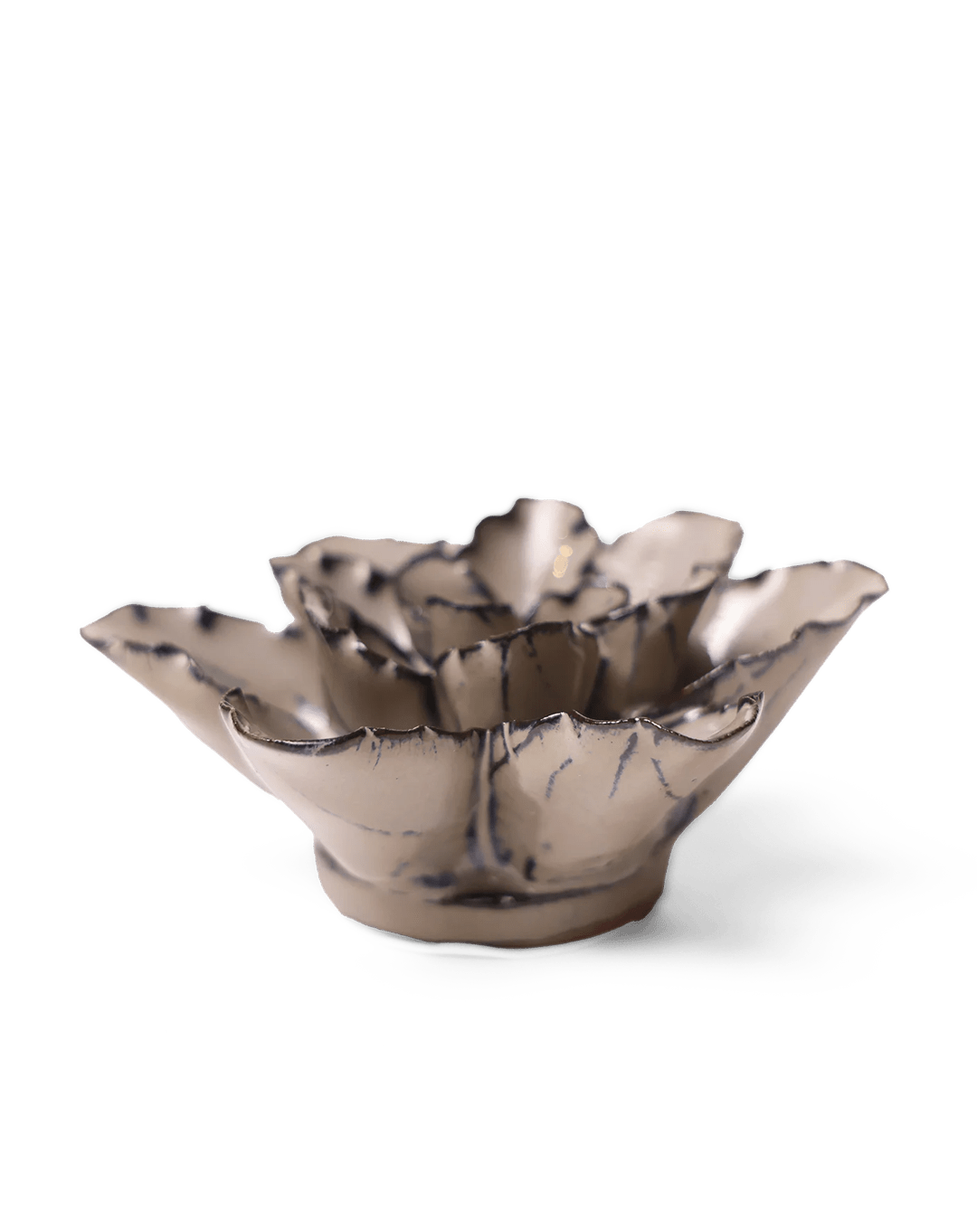 Japan Ceramic Flower Ecru Cactus Flower - Chive UK