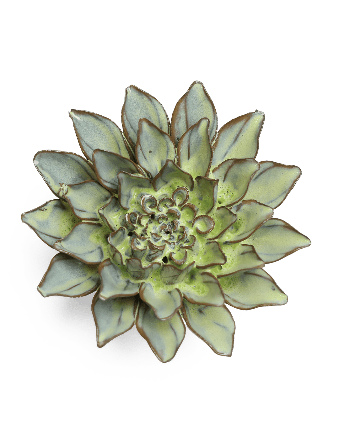 Japan Ceramic Flower Green Aster - Chive UK