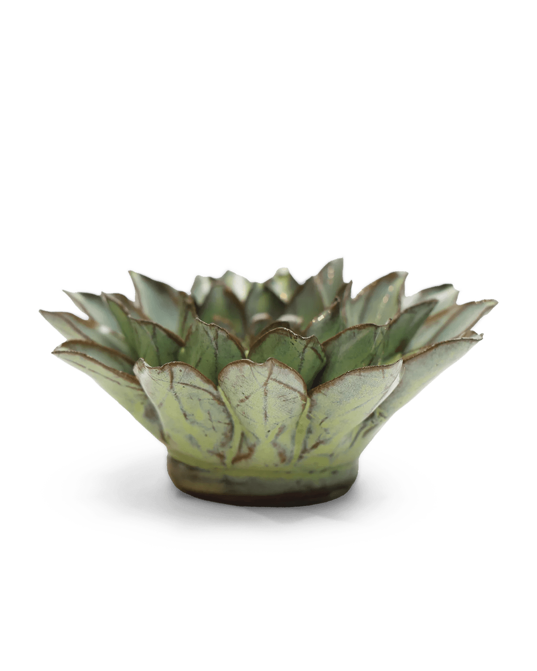 Japan Ceramic Flower Green Aster - Chive UK