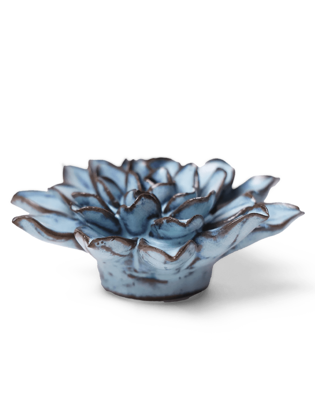 Japan Ceramic Flower Blue Brown Aster - Chive UK