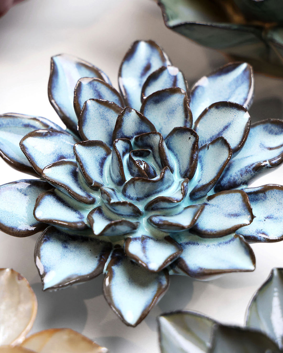 Seasonal Blue Alpine Aster - Chive UK