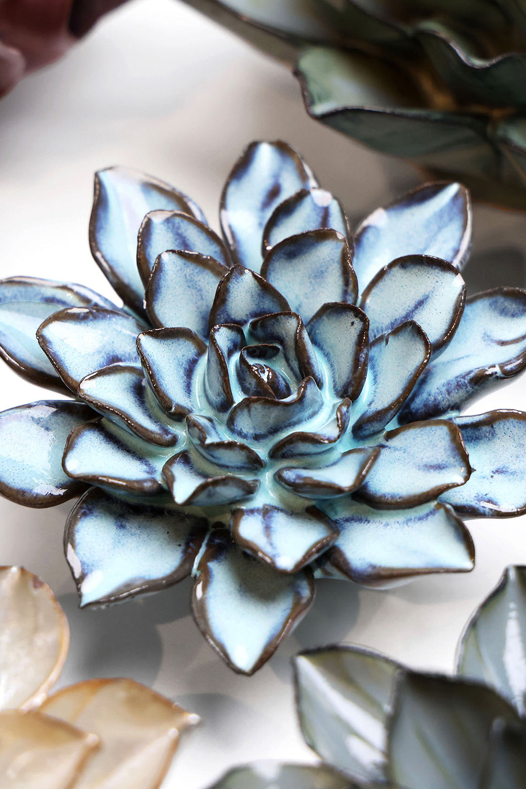 Seasonal Blue Alpine Aster - Chive UK