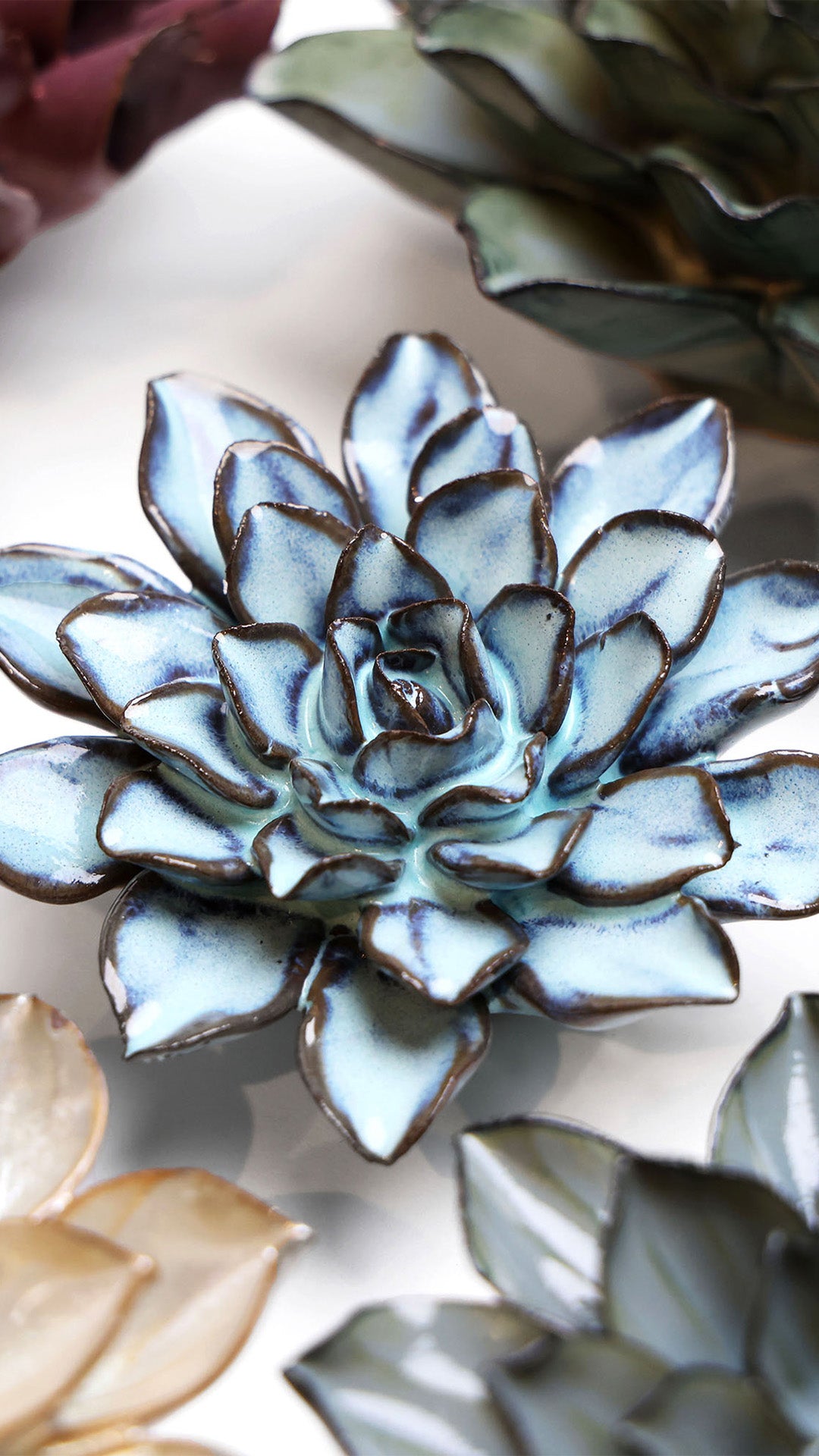 Seasonal Blue Alpine Aster - Chive UK