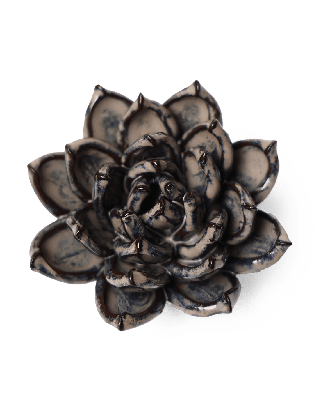 Japan Ceramic Flower Cream Succulent - Chive UK