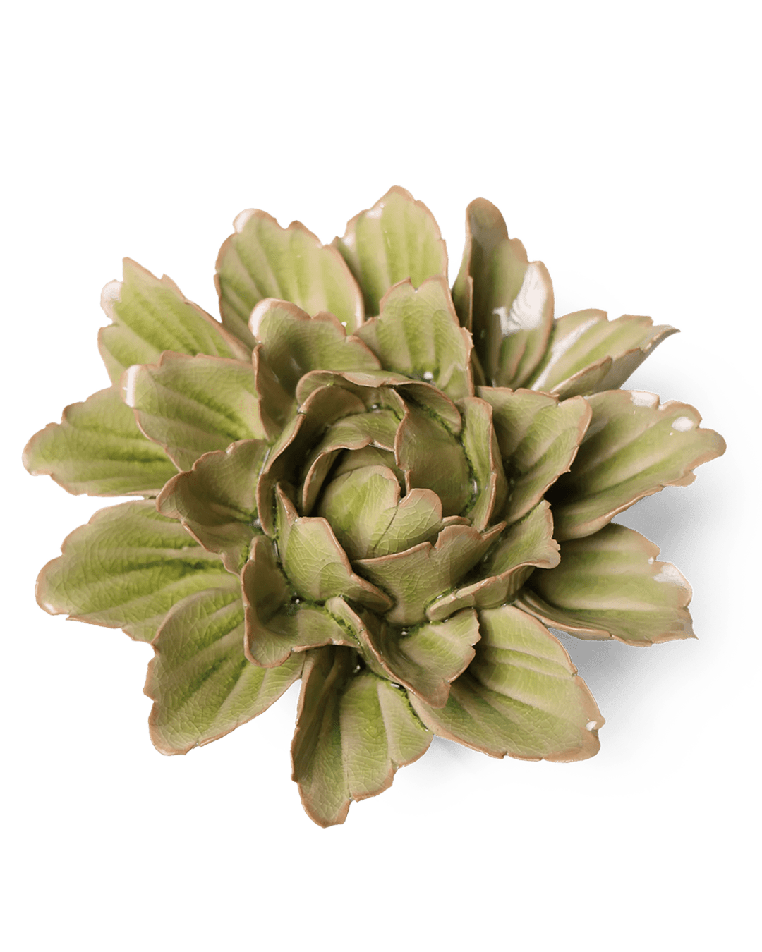 Japan Ceramic Flower Mint Tree Peony - Chive UK