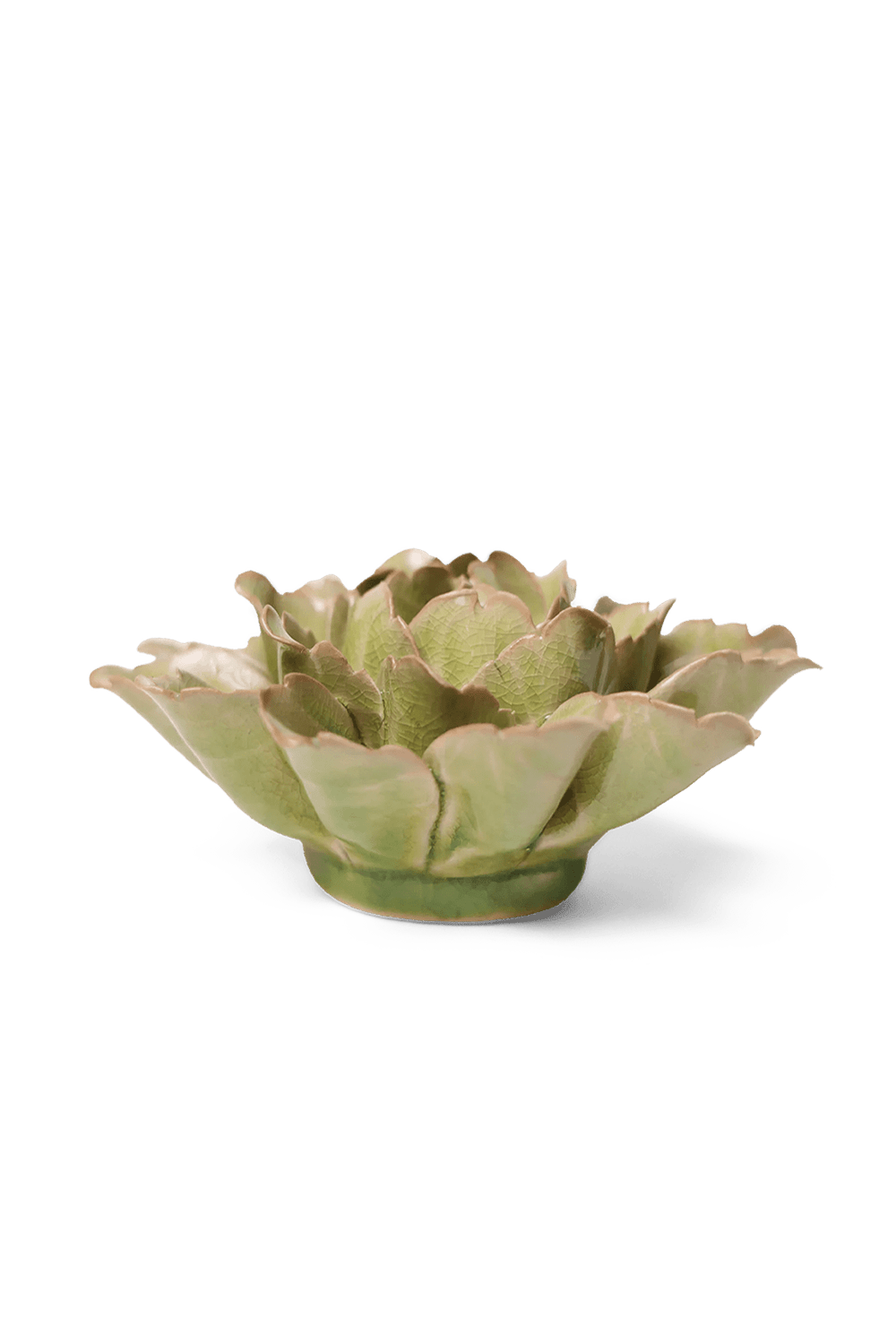 Peridot Sorbet Peony - Chive UK