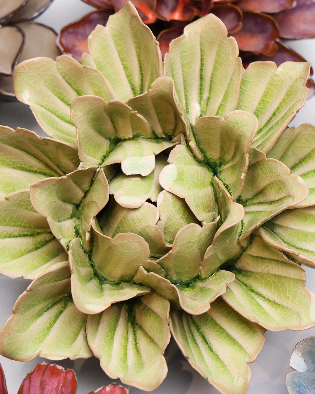 Peridot Sorbet Peony - Chive UK