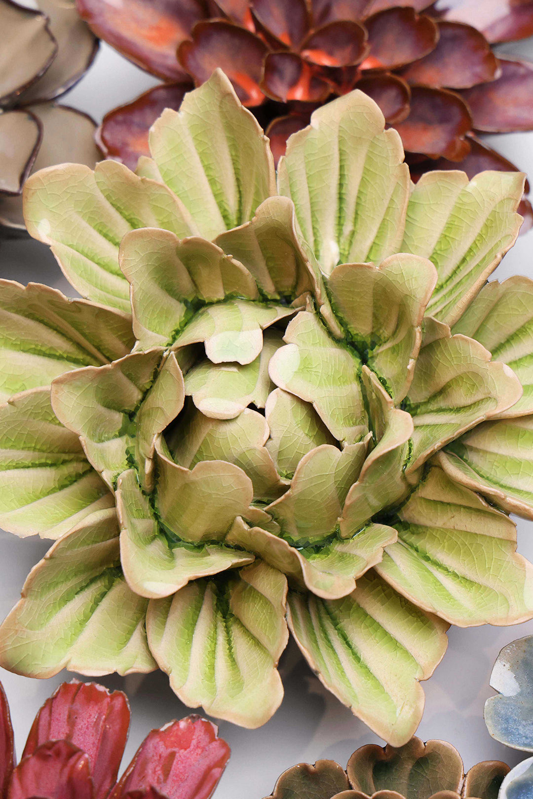 Peridot Sorbet Peony - Chive UK