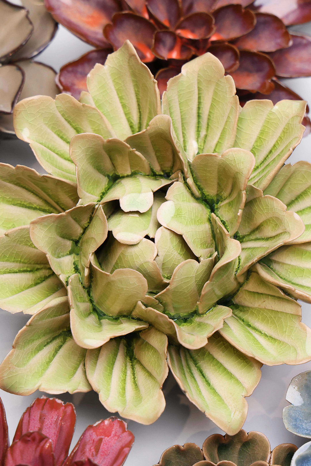 Peridot Sorbet Peony - Chive UK