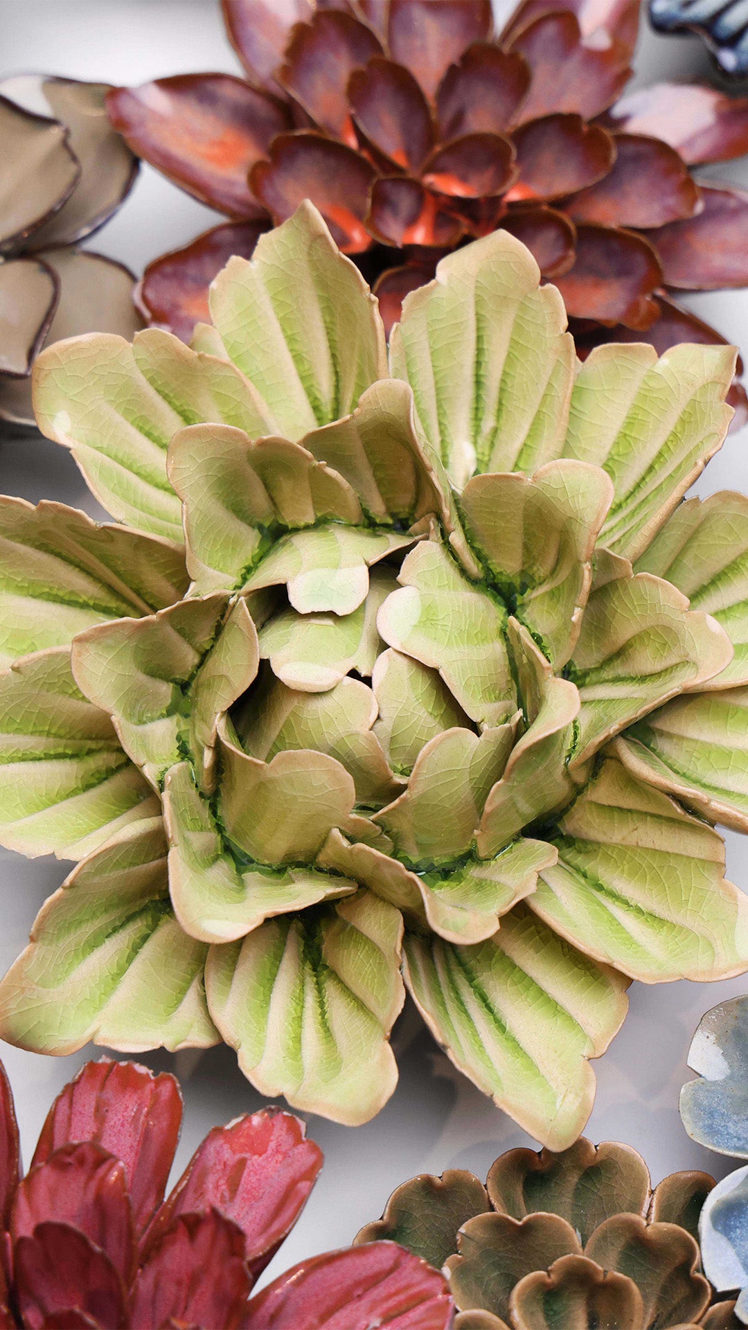 Peridot Sorbet Peony - Chive UK