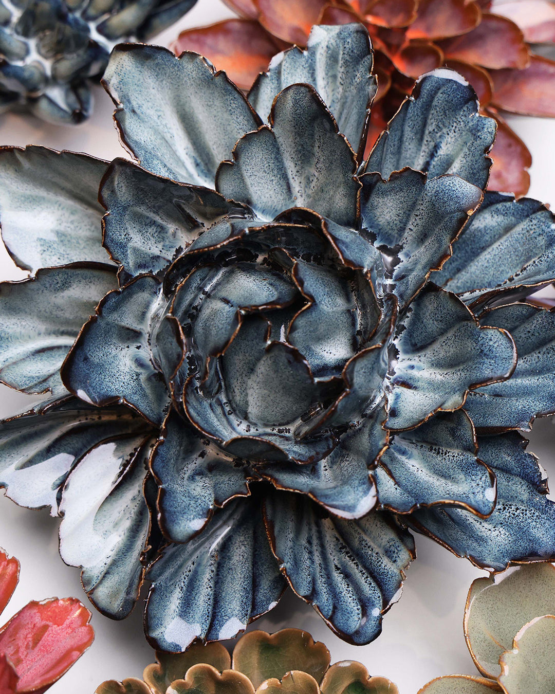 Navy Sorbet Peony - Chive UK