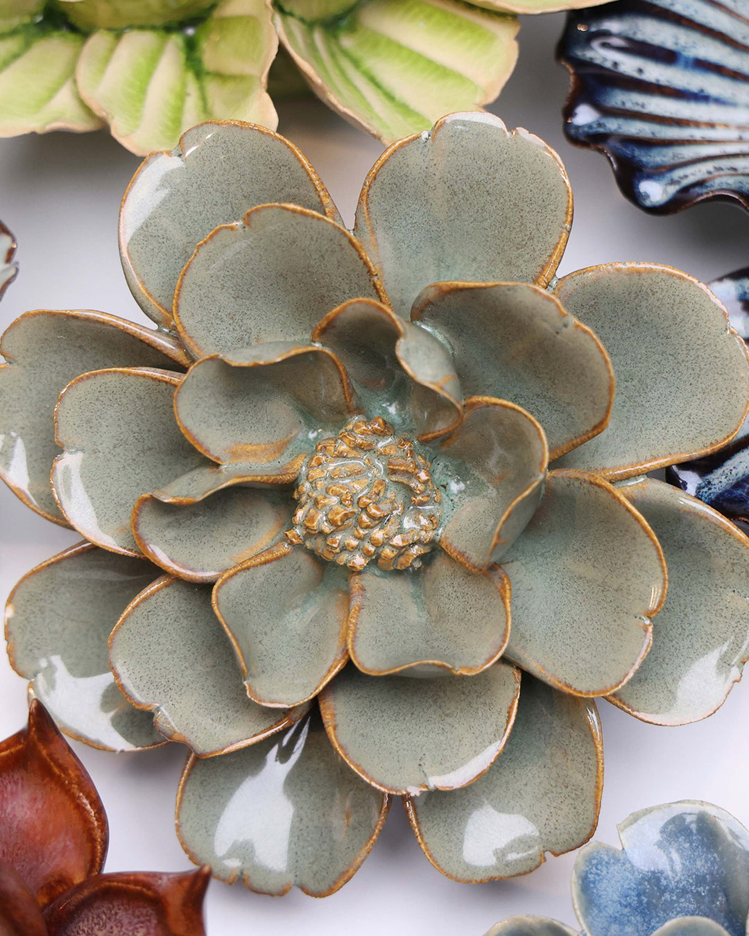 Moss Grey Oxeye Daisy - Chive UK