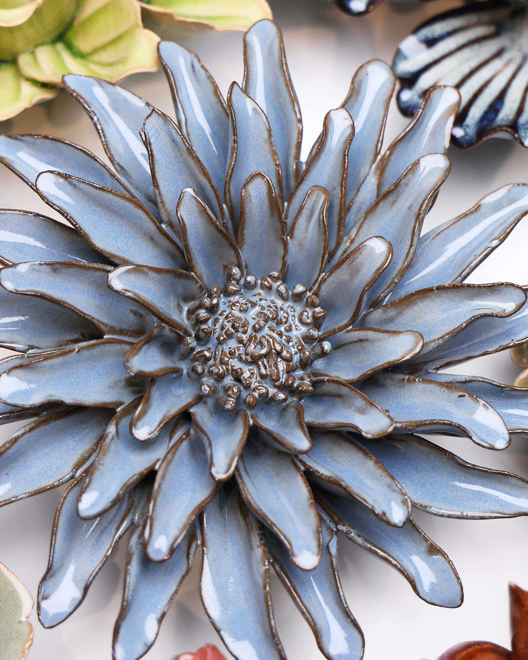 Blue Grey Gerbera Daisy - Chive UK
