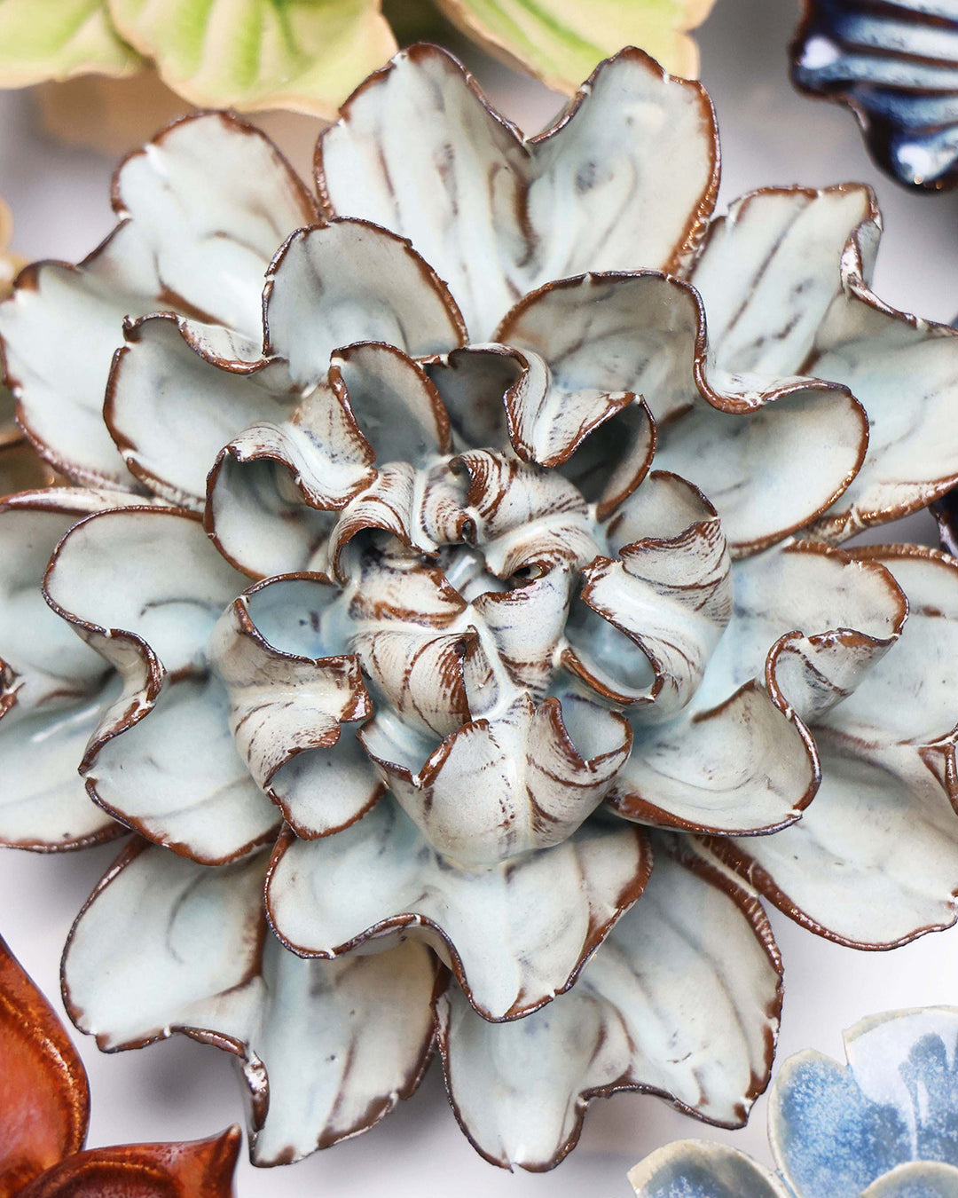 Chocolate Mint Echo Lisianthus - Chive UK