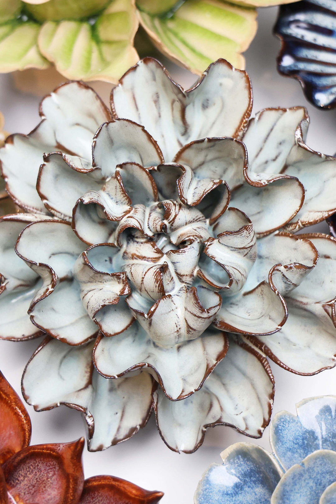 Chocolate Mint Echo Lisianthus - Chive UK