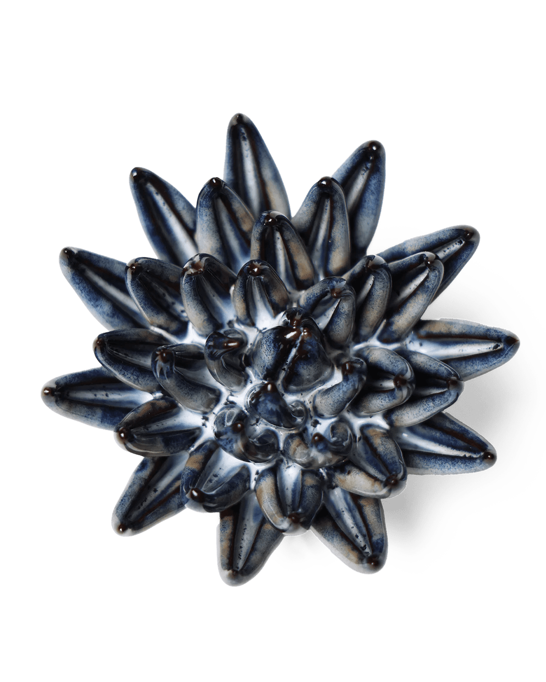 Japan Ceramic Flower Black Cactus Flower - Chive UK