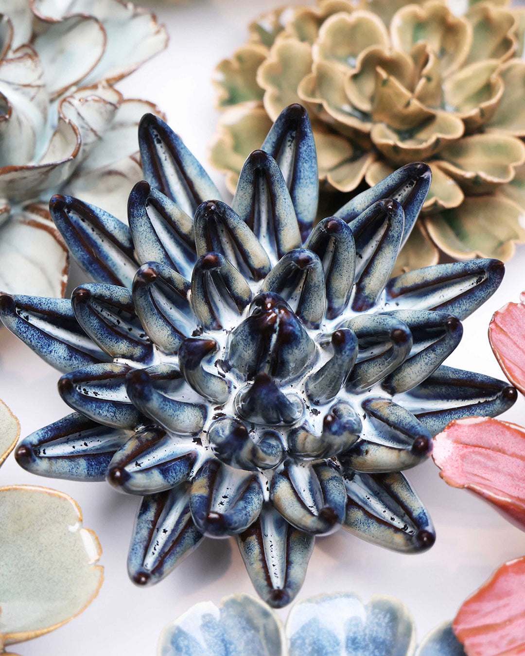 Navy Blue Chalksticks Succulent - Chive UK