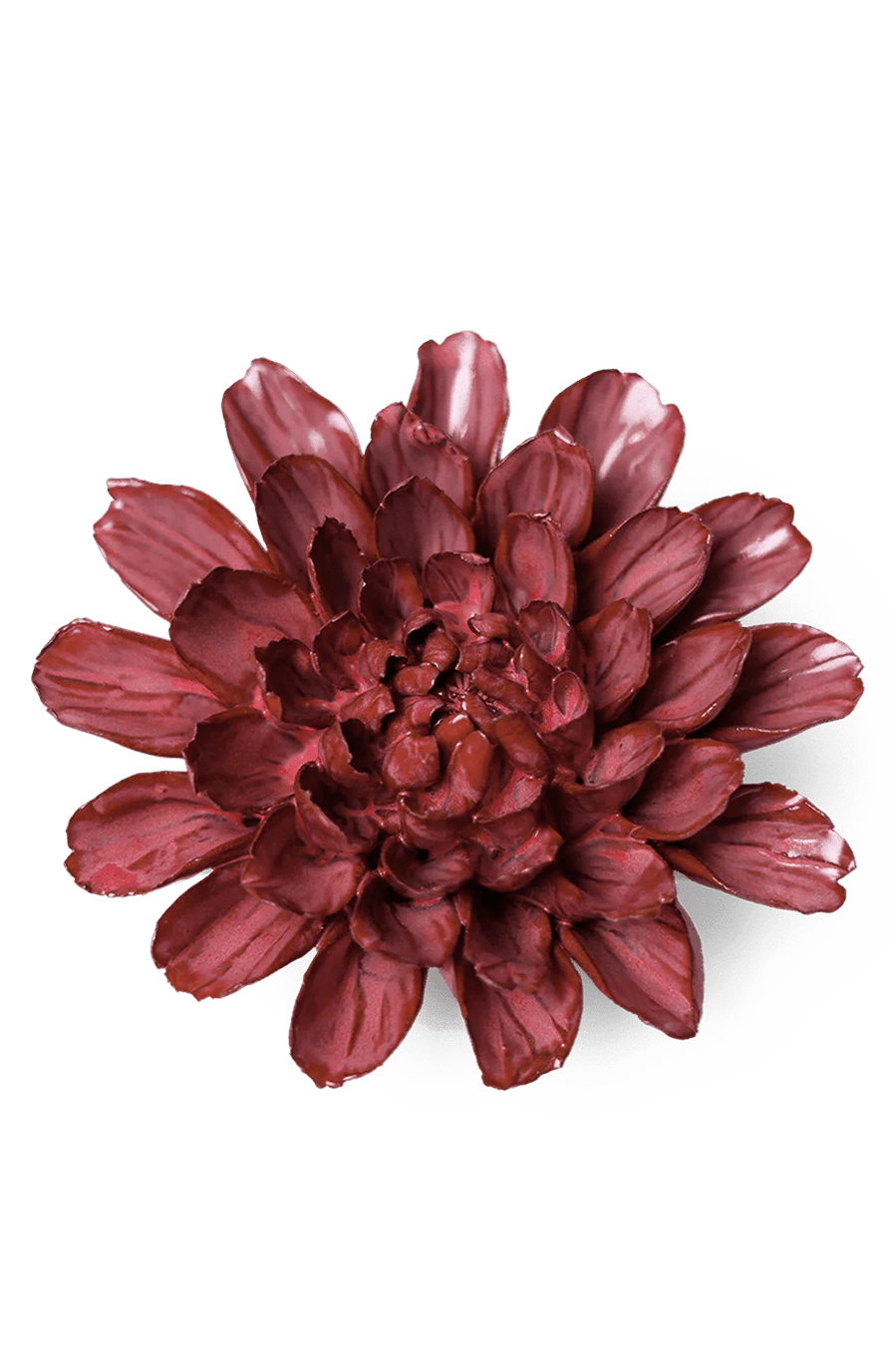 Blush Pink Star Dahlia - Chive UK