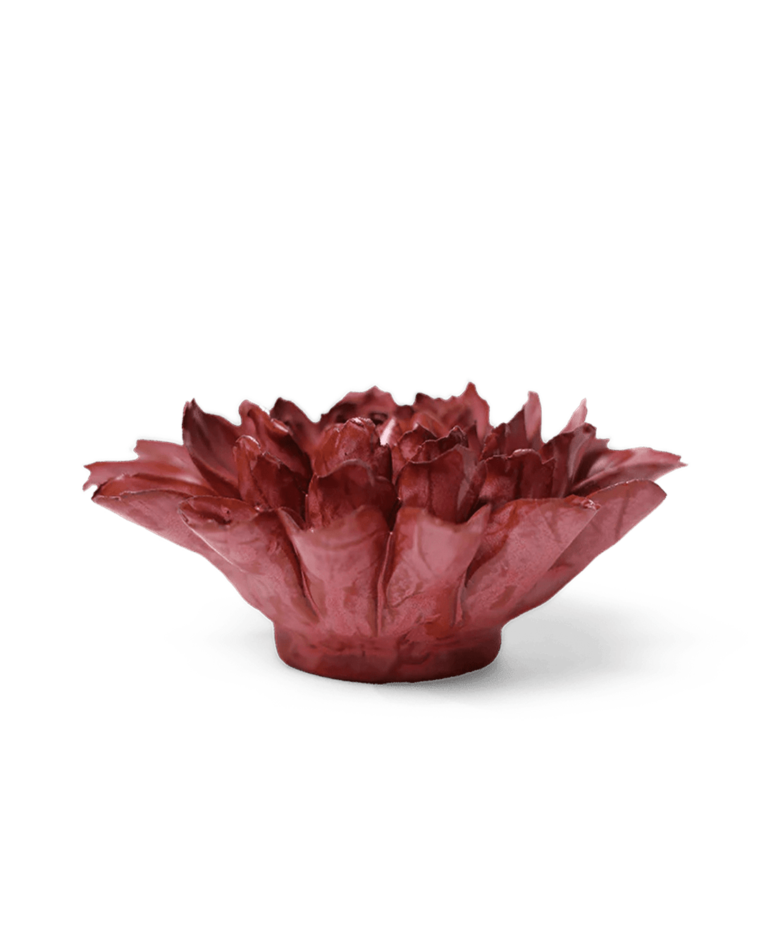 Blush Pink Star Dahlia - Chive UK