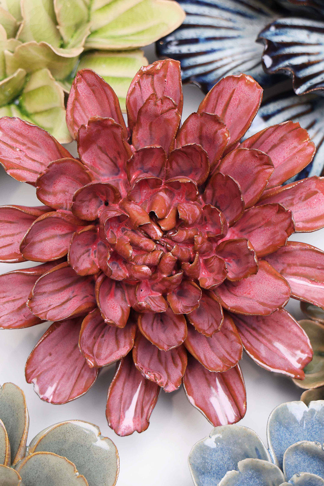 Blush Pink Star Dahlia - Chive UK