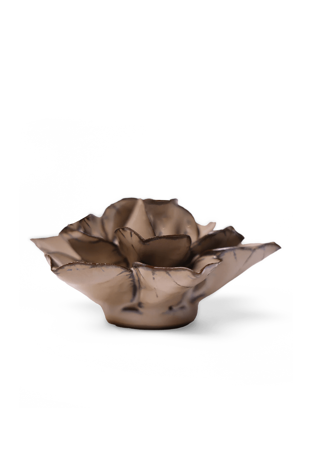 Latte Daffodil - Chive UK