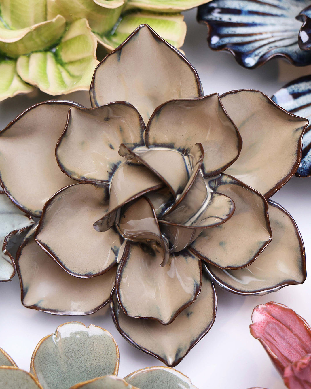 Latte Daffodil - Chive UK