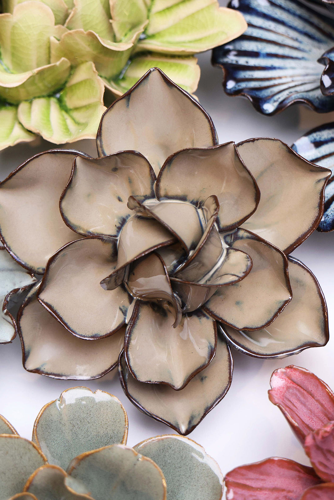 Latte Daffodil - Chive UK