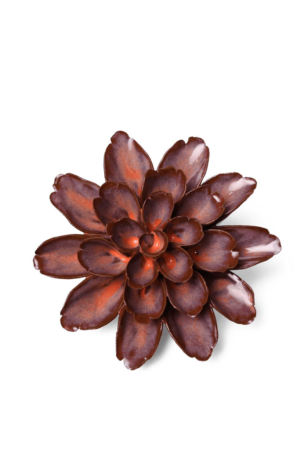 Peach Mocha Cornflower - Chive UK