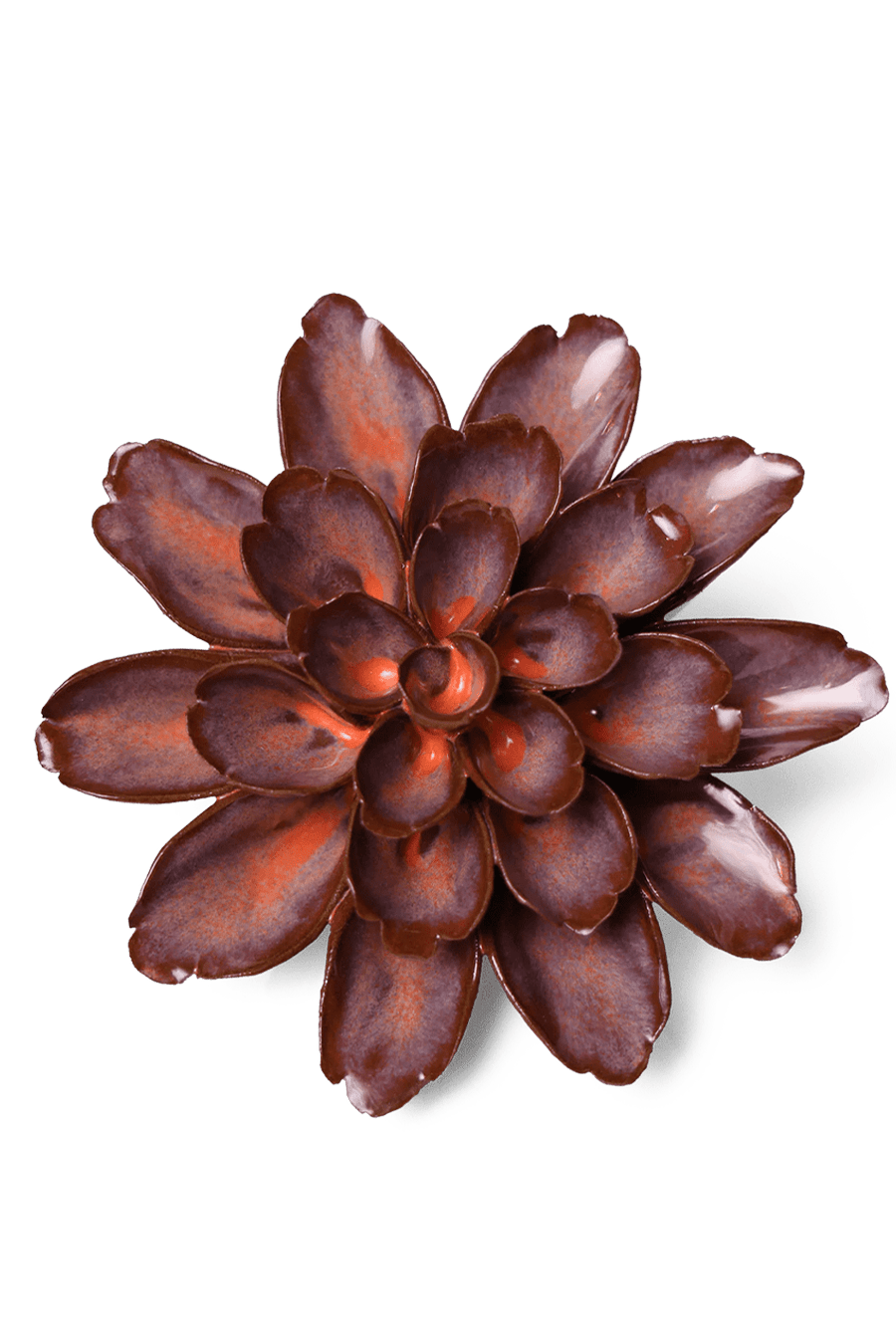 Peach Mocha Cornflower - Chive UK