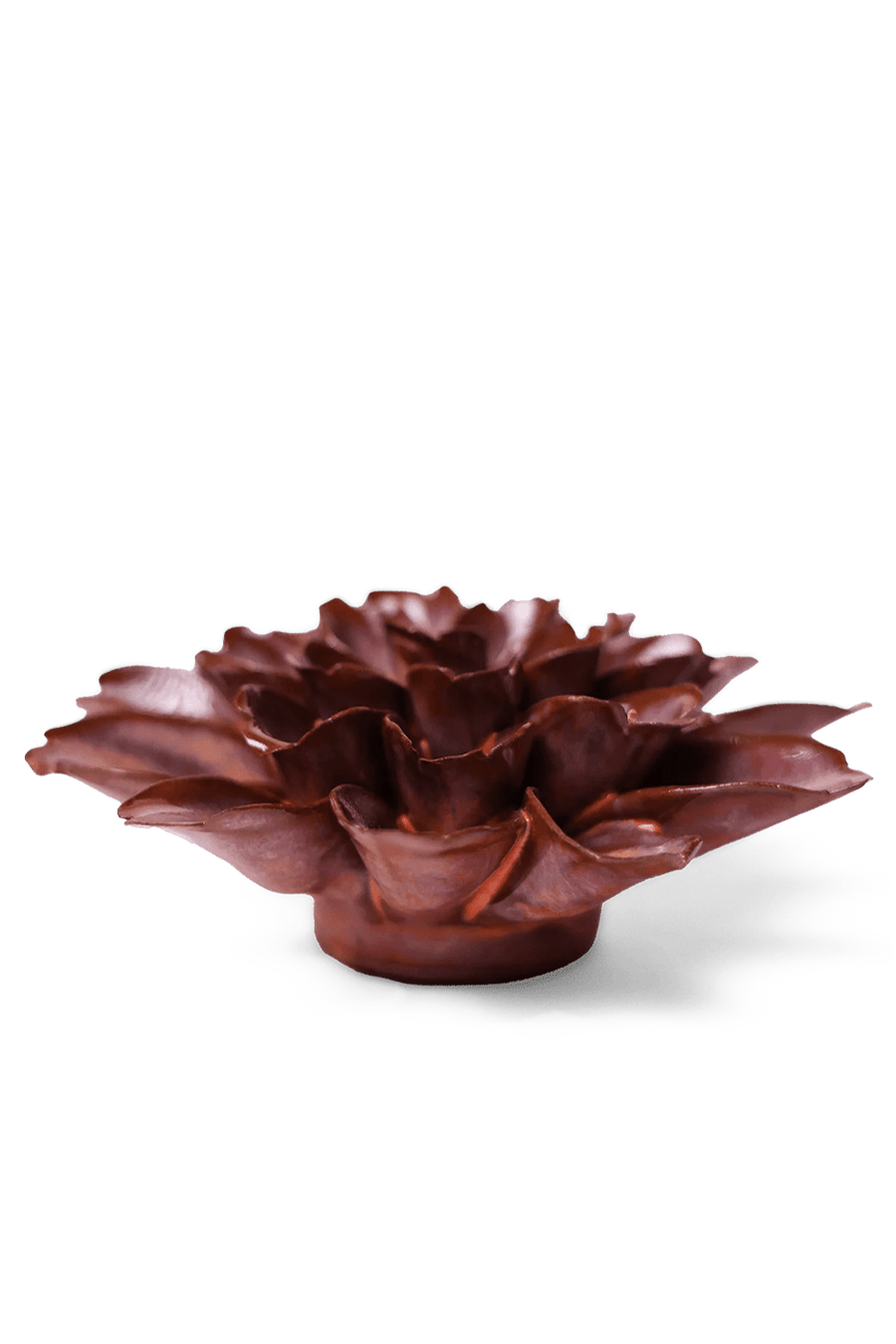 Peach Mocha Cornflower - Chive UK