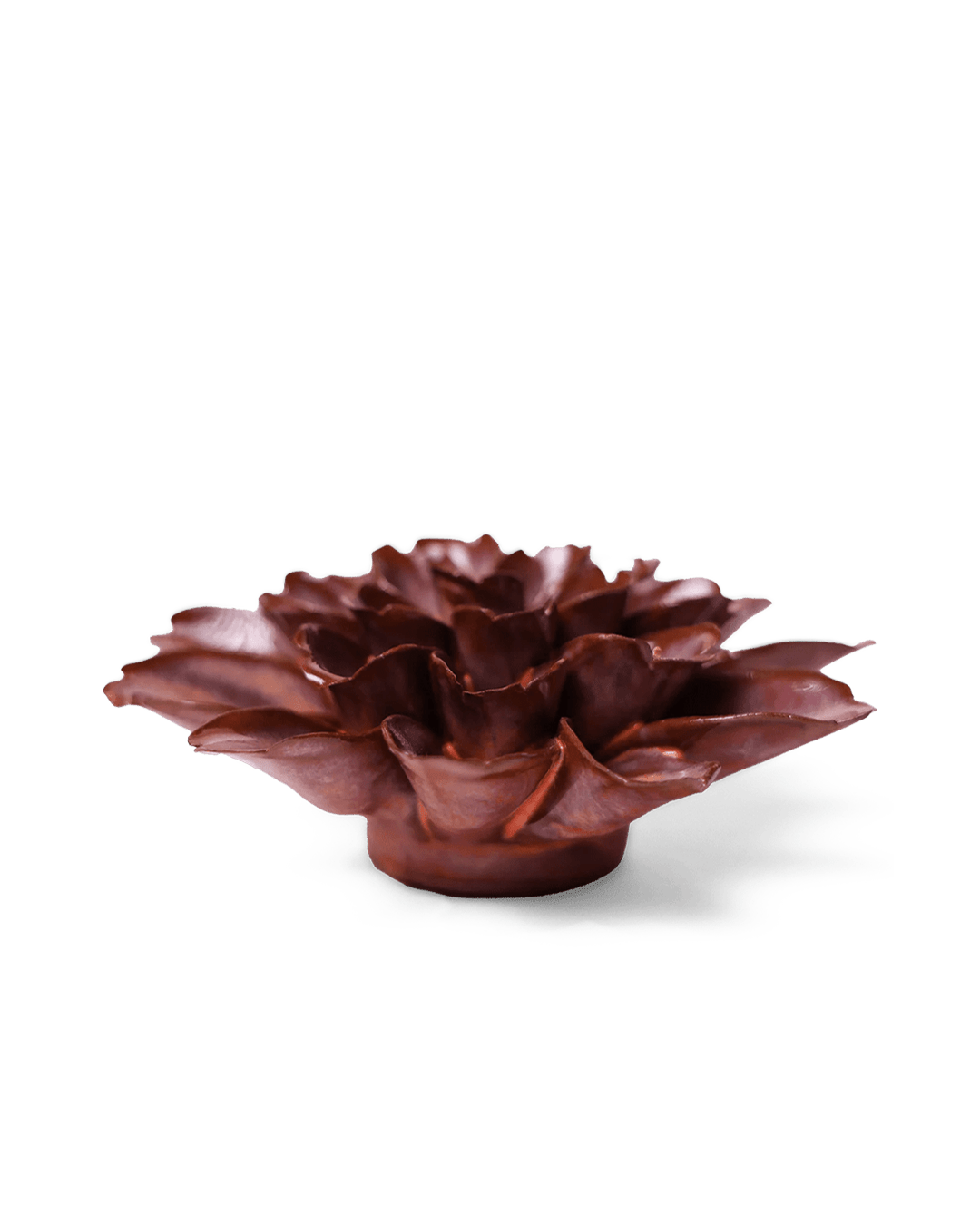 Peach Mocha Cornflower - Chive UK