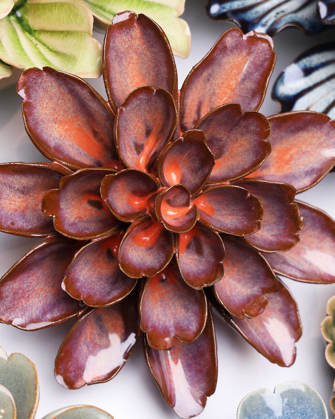 Peach Mocha Cornflower - Chive UK