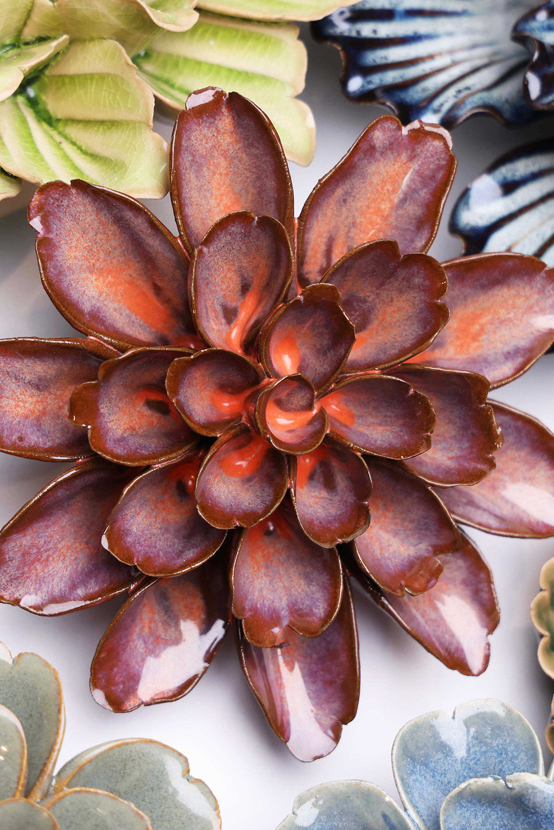 Peach Mocha Cornflower - Chive UK