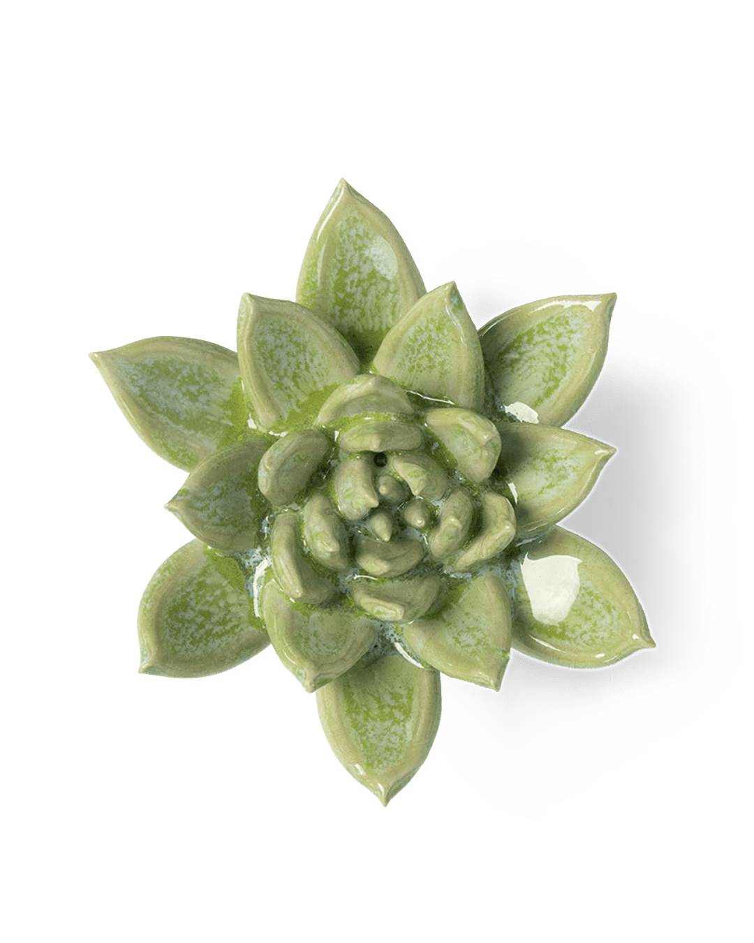 Japan Ceramic Flower Green Succulent - Chive UK